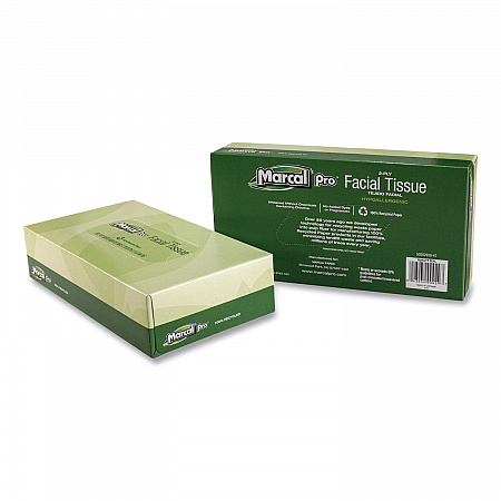 100% Recycled Convenience Pack Facial Tissue, 2-Ply, White, 100 Sheets/Box, 30/Carton (NP5701)