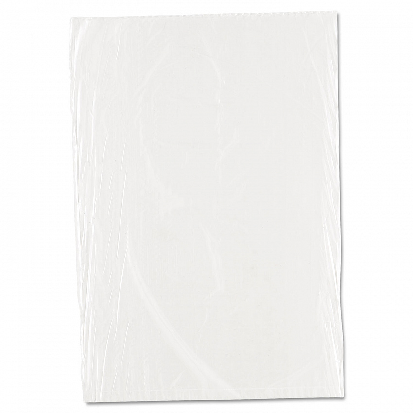 Food Bags, 10" x 14", Clear, 1,000/Carton (PBR1014)