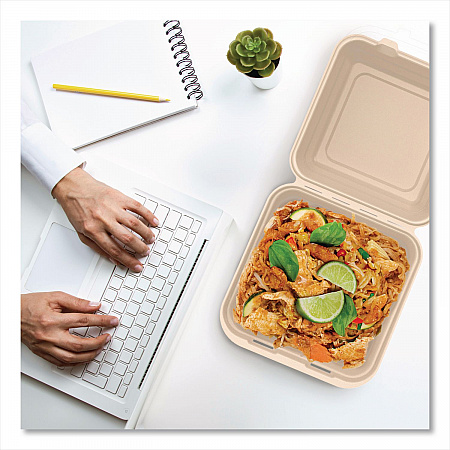 Compostable Molded Fiber Hinged Trays, ProPlanet Seal, 9.14 x 9 x 2.98, Natural, 200/Carton (90FBRHT1)