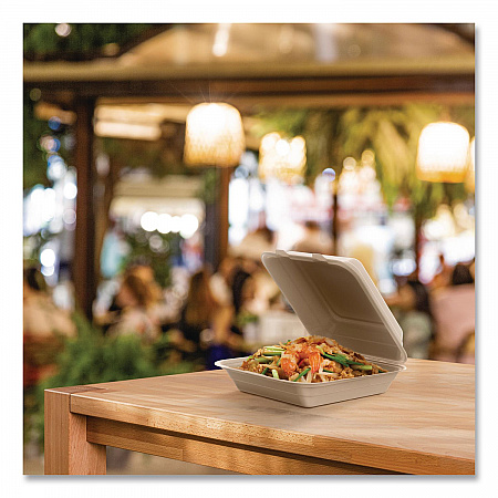 Compostable Molded Fiber Hinged Trays, ProPlanet Seal, 9.14 x 9 x 2.98, Natural, 200/Carton (90FBRHT1)