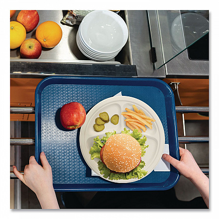 Compostable Molded Fiber Dinnerware, ProPlanet Seal, 3-Compartment Plate, 10.2