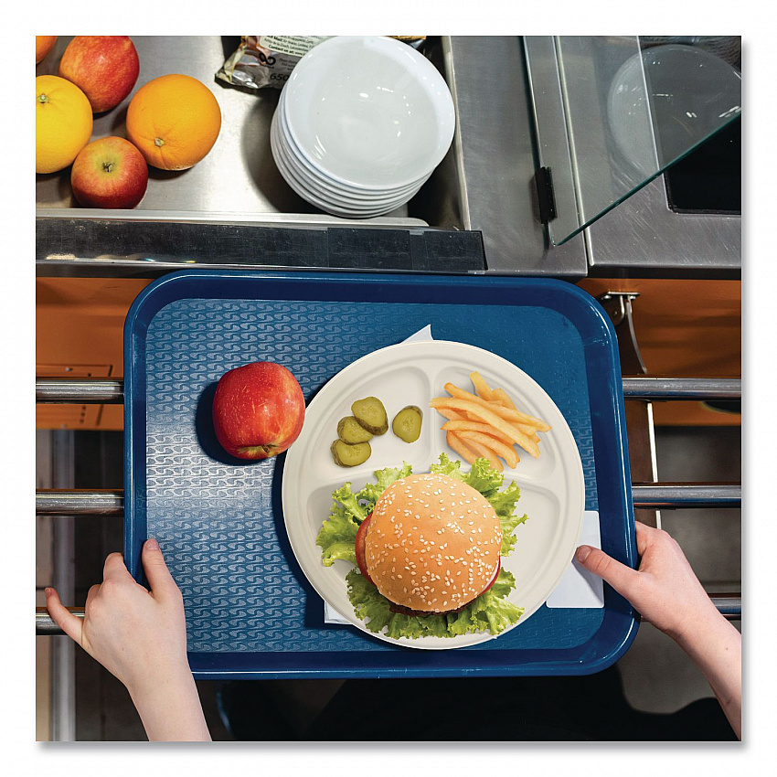 Compostable Molded Fiber Dinnerware, ProPlanet Seal, 3-Compartment Plate, 10.2" dia, Natural, 500/Carton (10FBRP3)