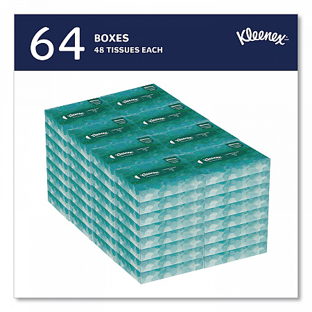 White Facial Tissue Junior Pack, 2-Ply, 48 Sheets/Box, 64 Boxes/Carton (21195)