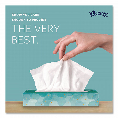 White Facial Tissue Junior Pack, 2-Ply, 48 Sheets/Box, 64 Boxes/Carton (21195)