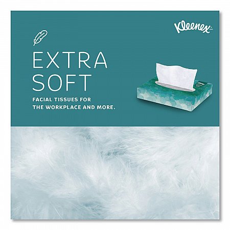 White Facial Tissue Junior Pack, 2-Ply, 48 Sheets/Box, 64 Boxes/Carton (21195)