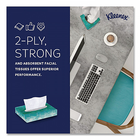 White Facial Tissue Junior Pack, 2-Ply, 48 Sheets/Box, 64 Boxes/Carton (21195)