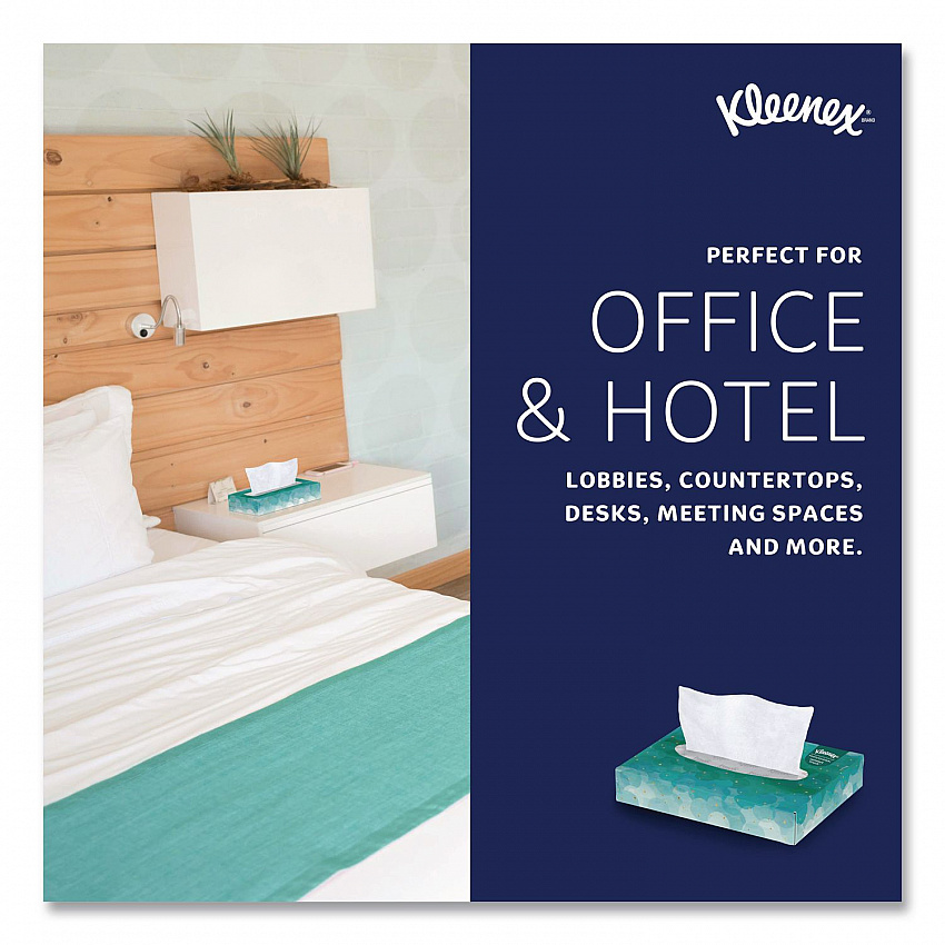White Facial Tissue Junior Pack, 2-Ply, 48 Sheets/Box, 64 Boxes/Carton (21195)
