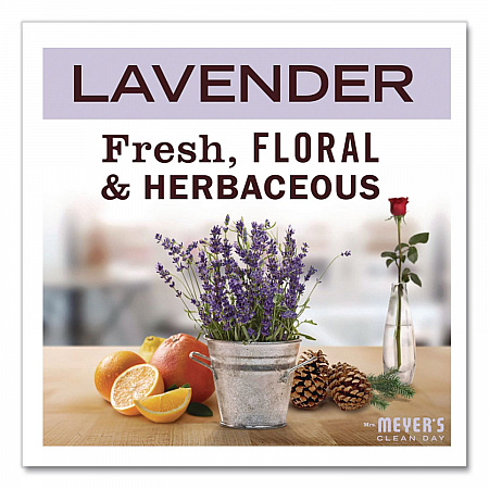 Clean Day Concentrated Foaming Hand Soap Dispenser Refill, Lavender Scent, 2 oz Bottle, 2/Pack (355611)