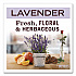 Clean Day Concentrated Foaming Hand Soap Dispenser Refill, Lavender Scent, 2 oz Bottle, 2/Pack (355611)
