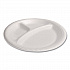Foam Dinnerware, 3-Compartment Plate, 9