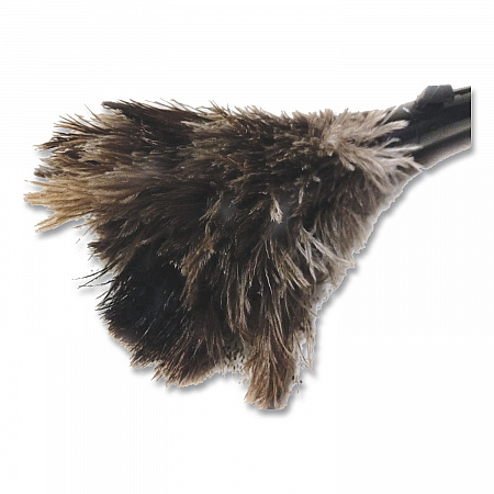 Pop Top Feather Duster, Ostrich, 9