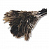 Pop Top Feather Duster, Ostrich, 9