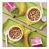 Honey Nut Cheerios Cereal, Single-Serve 1.8 oz Cup, 6/Box (SN13898)