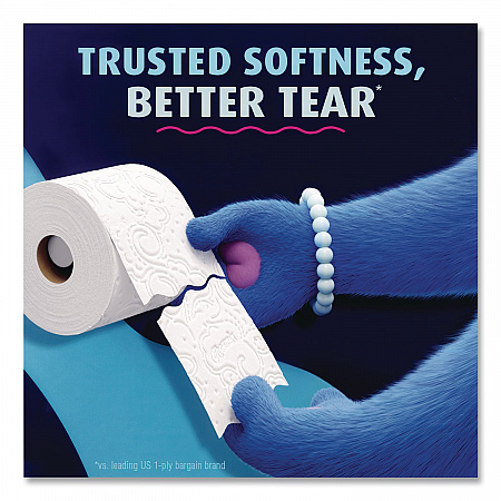 Ultra Soft Bathroom Tissue, Mega Roll, Septic Safe, 2-Ply, White, 208 Sheets/Roll, 12 Rolls/Pack (17579PK)