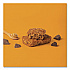 Oatmeal Bars, Peanut Butter Chocolate Chip, 3 oz Individually Wrapped, 12/Box (00172)