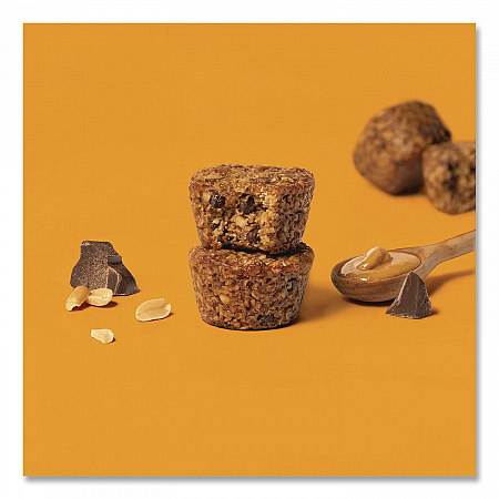 Oatmeal Bites, Peanut Butter Chocolate Chip, 1.3 oz Individually Wrapped, 25/Box (00213)