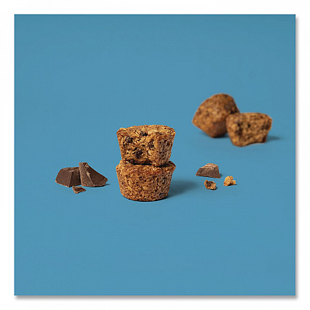 Oatmeal Bites, Chocolate Chip, 1.3 oz Individually Wrapped, 25/Box (00214)