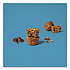 Oatmeal Bites, Chocolate Chip, 1.3 oz Individually Wrapped, 25/Box (00214)