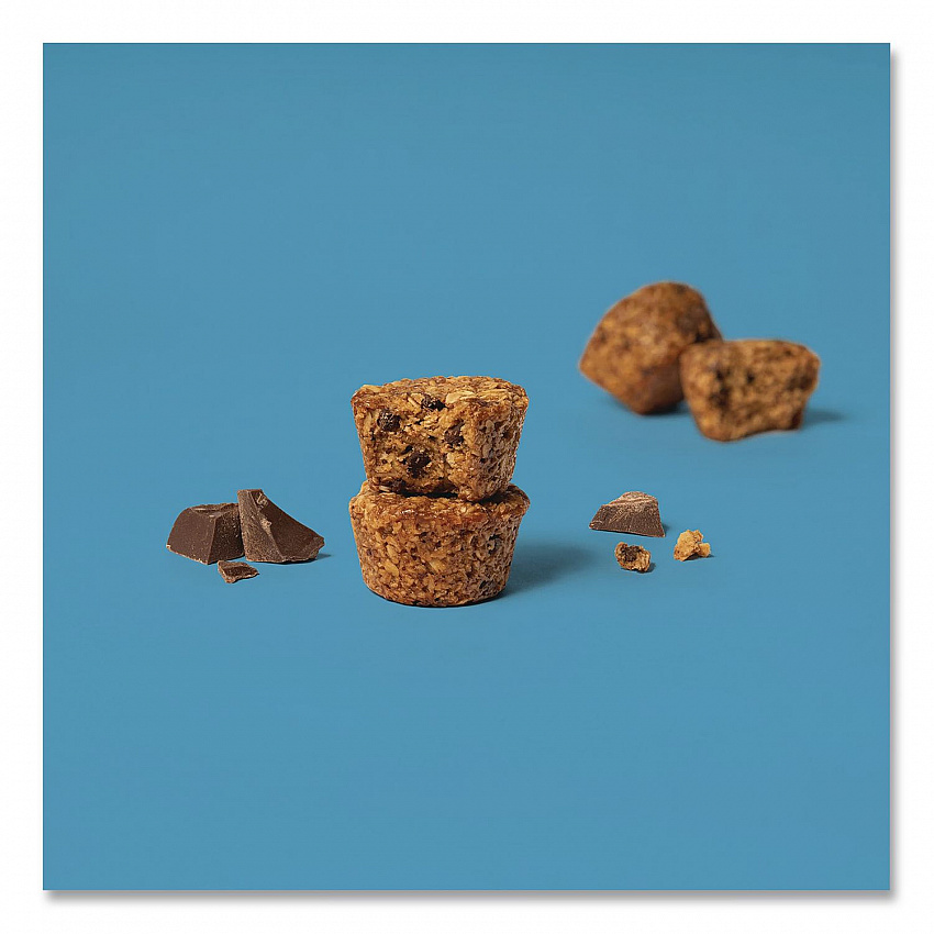 Oatmeal Bites, Chocolate Chip, 1.3 oz Individually Wrapped, 25/Box (00214)