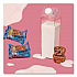 Oatmeal Bites, Chocolate Chip, 1.3 oz Individually Wrapped, 25/Box (00214)