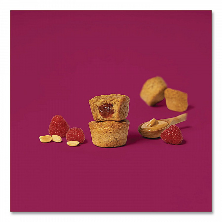 Stuff'd Oatmeal Bites, Peanut Butter and Jelly, 1.3 oz Individually Wrapped, 25/Box (00216)