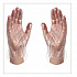 Polyethylene Food Safe Industrial Gloves, Powder-Free, Large, Clear, 500/Box, 20 Boxes/Carton (PGLOVEL500XX)