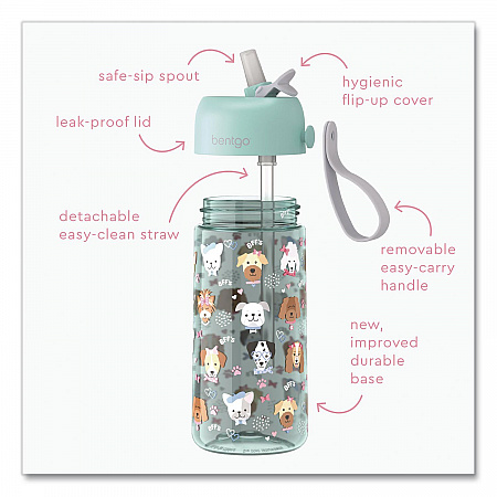 Puppy Love Plastic Water Bottle, 15 oz, Multicolor (DWB1PPY)