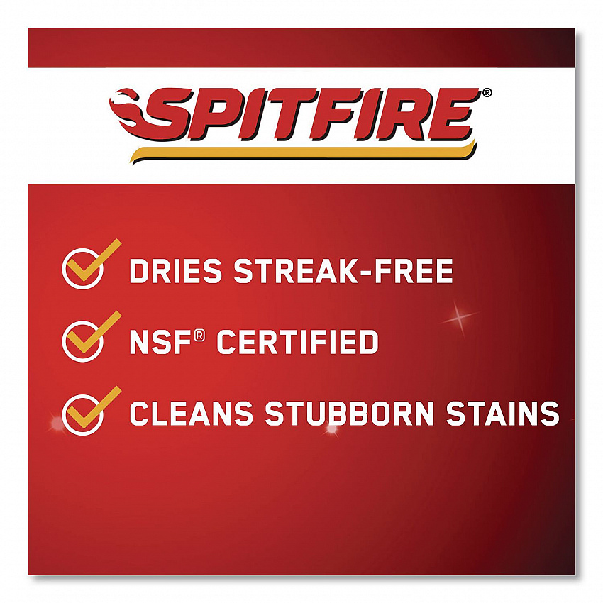 Professional Spitfire All Purpose Power Cleaner, 1 gal Jug (CBD540045EA)