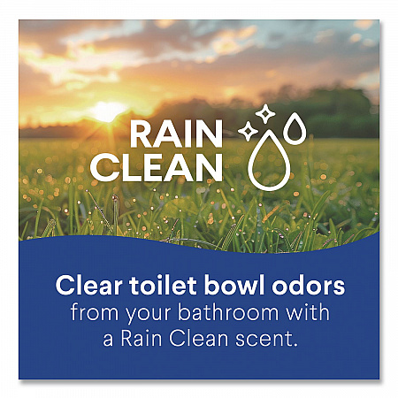 Disinfecting Toilet Bowl Cleaner with Bleach, Rain Clean Scent, 24 oz Bottle, 2/Pack, 6 Packs/Carton (30924CT)