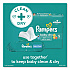 Baby-Clean Wipes, 6.7 x 7, Baby Fresh, White, 72 Wipes/Pack, 6 Packs/Carton (73278)