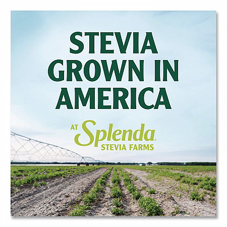 Stevia Sweetener Packet, 0.04 oz, 200/Box (HFP00612)