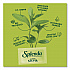 Stevia Sweetener Packet, 0.04 oz, 400/Box (HFP00613)