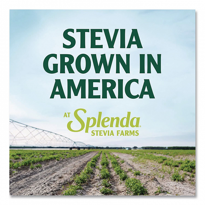 Stevia Sweetener Packet, 0.04 oz, 400/Box (HFP00613)