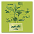 Stevia Sweetener Pack, 0.04 oz, 1,000/Carton (HFP00615)