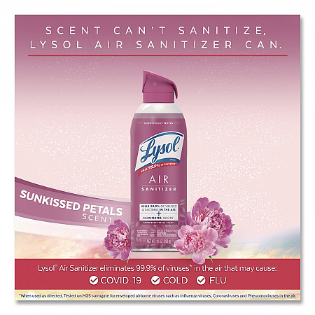 Air Sanitizing Spray, Sunkissed Petals Scent, 10 oz Aerosol Spray (1920056148)