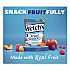 Mixed Fruit Snacks Club Size, 0.8 oz Packet, 66/Box (24328406)