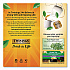 Tea Bags, Lemon and Ginger, 1.32 oz Tea Bag, 25 Tea Bags/Box (85145)