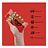 Oatmeal Bars, Cranberry Orange, 3 oz Individually Wrapped, 12/Box (00049)