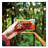 Oatmeal Bars, Cranberry Orange, 3 oz Individually Wrapped, 12/Box (00049)
