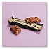 Caramel Cashew Protein Bars, 1.94 oz Individually Wrapped, 12/Box (VTN42966)