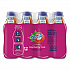Flavored Tea, Raspberry, 16 oz Bottle, 24/Carton (CAD00775)