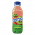 Flavored Juice Drink, Strawberry Kiwi, 16 oz Bottle, 24/Carton (CAD00776)