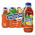 Flavored Tea, Peach, 16 oz Bottle, 24/Carton (CAD00783)