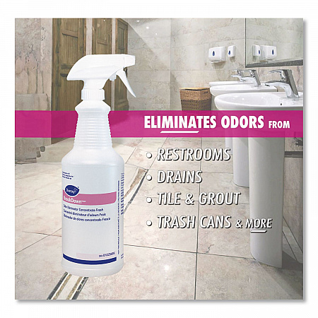 BreakDown Empty Spray Bottle, 32 oz, Clear, 12/Carton (D1225695)