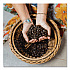 Liga Privida Coffee Pods, 18/Box (ICF18053)