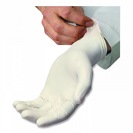 L5201 Series Powder-Free Latex Gloves, Large, 4 mil Thick, 9