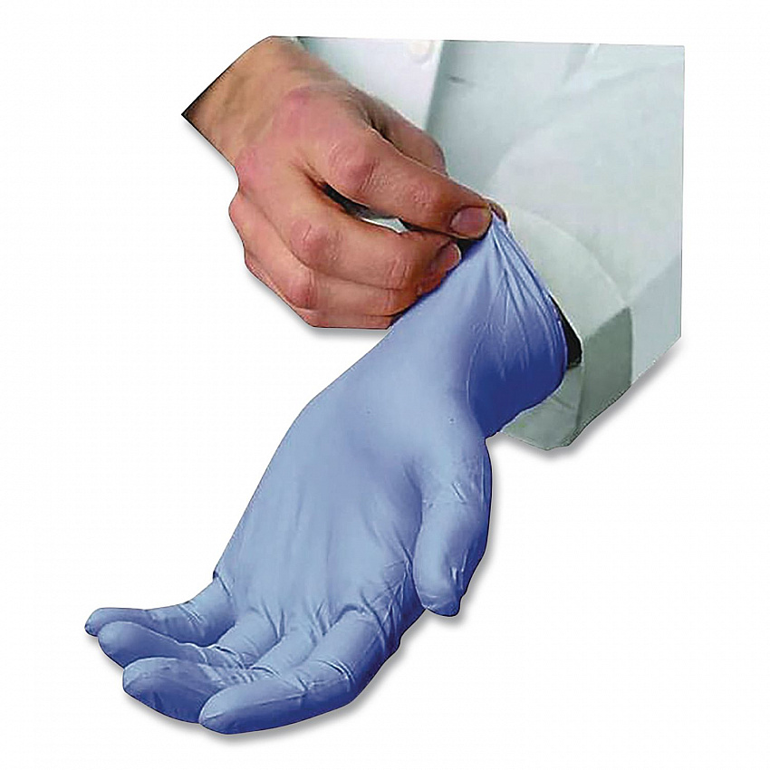 N5201 Series Powder-Free Nitrile Gloves, Large, 9" Long, Blue, 100/Box, 10 Boxes/Carton (NLG5201CT)