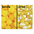 Freeze Dried Candy, Lemon Bursts, 1.12 lb Bag, 12/Carton (00644)