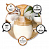 Flavored Sugar, French Vanilla, 0.08 oz Packet, 1,000/Carton (JMT65538)