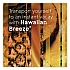 Plugin Scented Oil Refill, Hawaiian Breeze, 0.67 oz, 5/Pack (315181)
